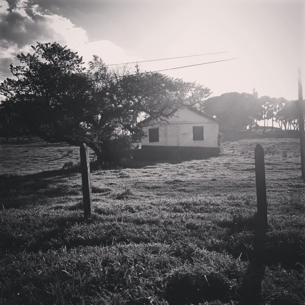 Casinha / Little house - ZEDE ENG₢