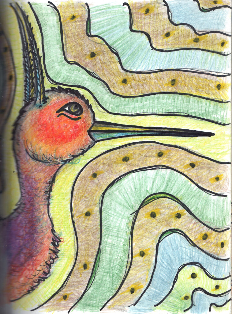 Pássaro / Bird - ZEDE ENG₢
