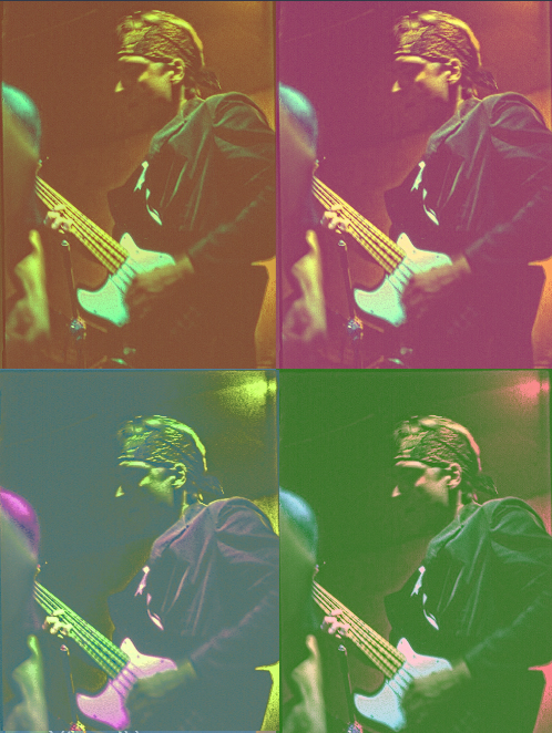 Zede Eng bass player